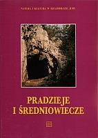 "Pradzieje i redniowiecze" (Tom IV)